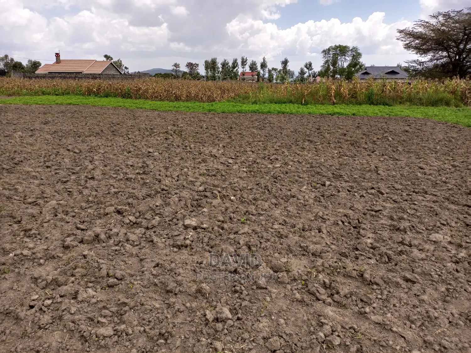 Plot for Sale in Lower Mawanga (50x100 and Quarters) in KITI Area