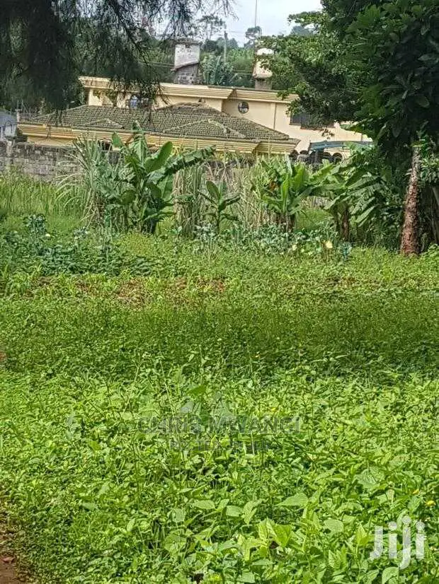 Half Acre Land with Ready Title - Mimosa Drive - For Sale in Runda