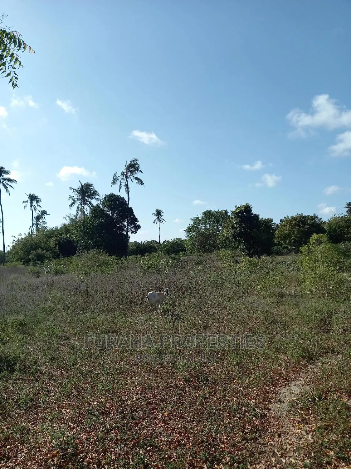 30 Acre Land for Purchase on Mombasa-Malindi Highway in Kikambala