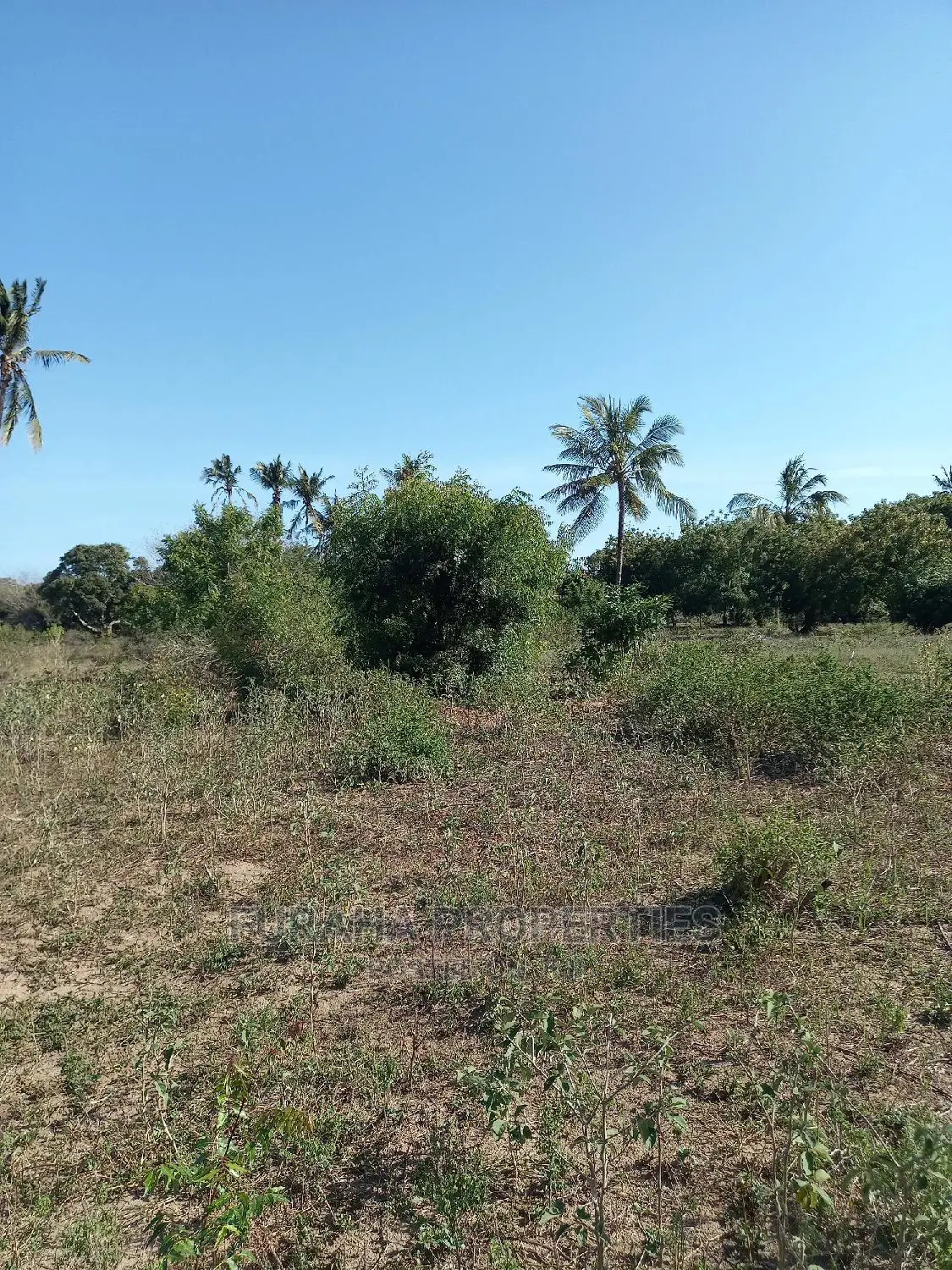 30 Acre Land for Purchase on Mombasa-Malindi Highway in Kikambala