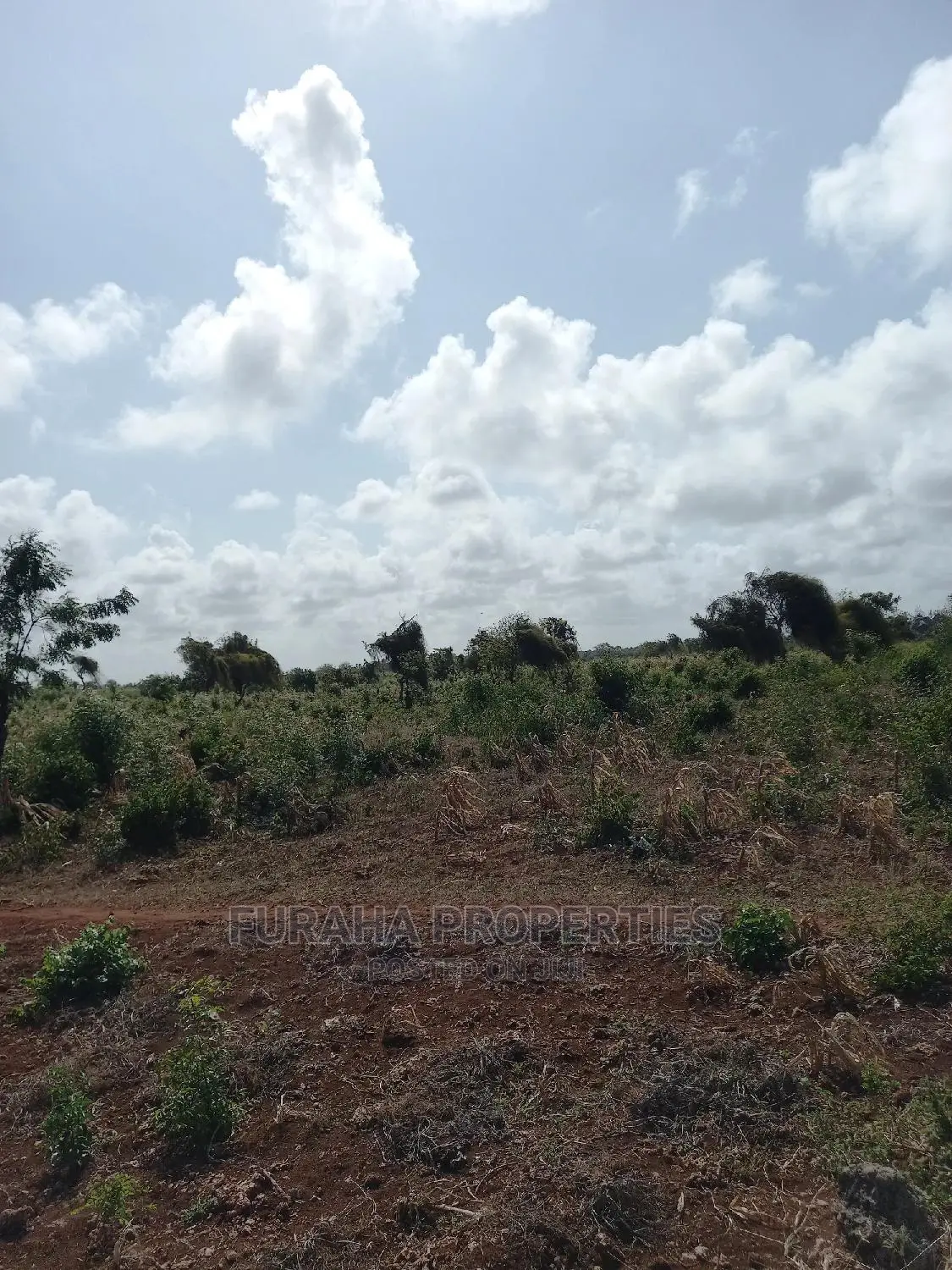 North Coast Beachfront Land For Sale - 16 Acres in Kikambala