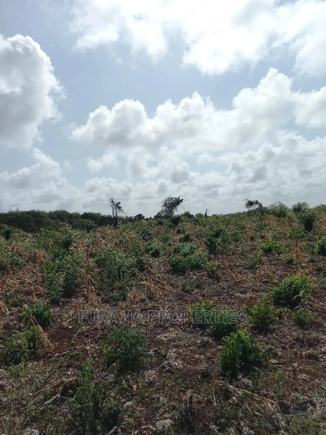 North Coast Beachfront Land For Sale - 16 Acres in Kikambala