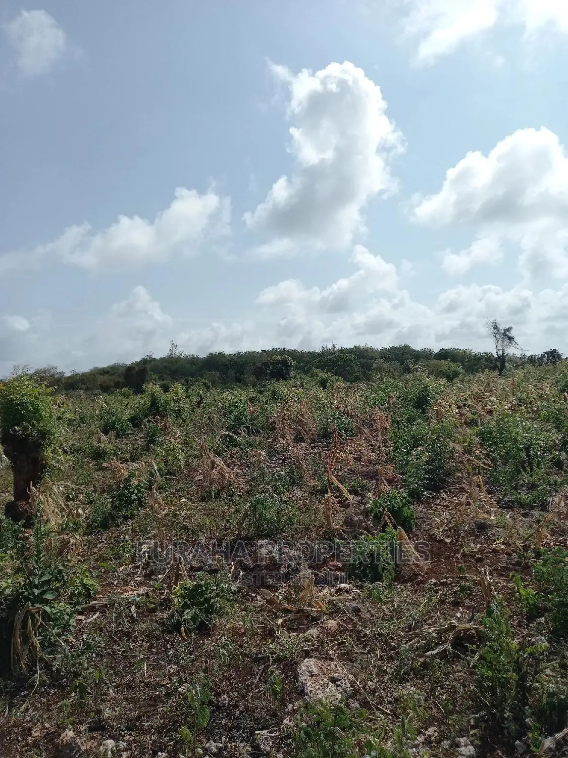 North Coast Beachfront Land For Sale - 16 Acres in Kikambala