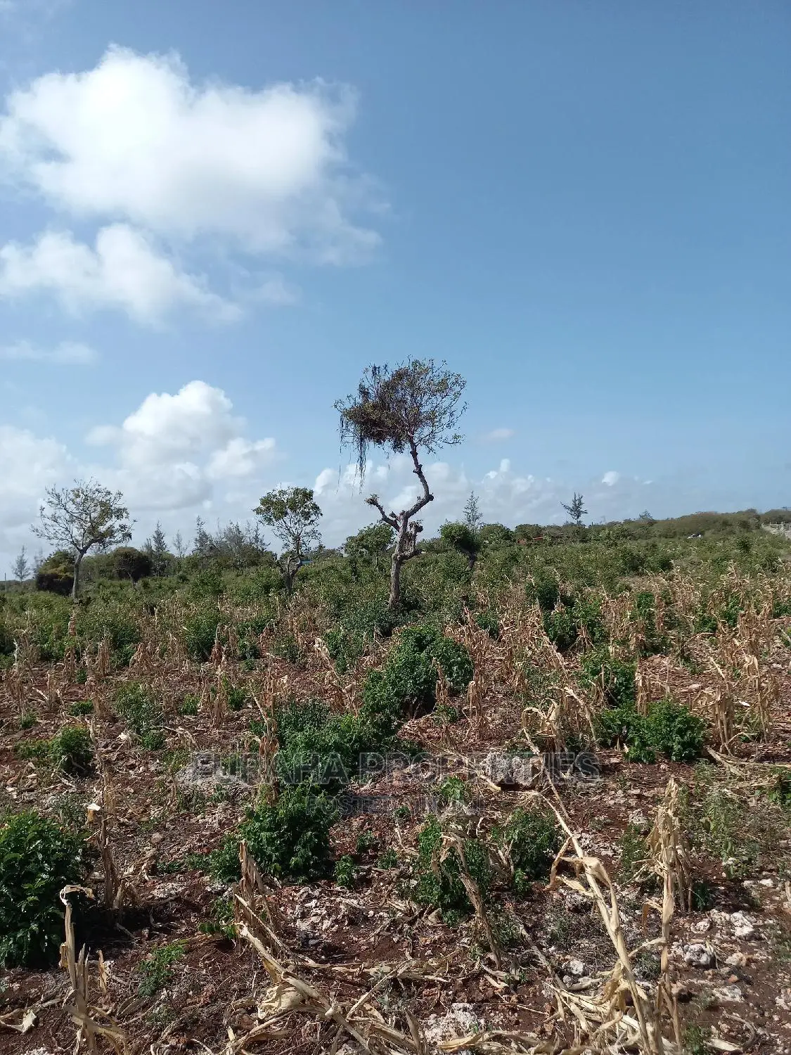 North Coast Beachfront Land For Sale - 16 Acres in Kikambala