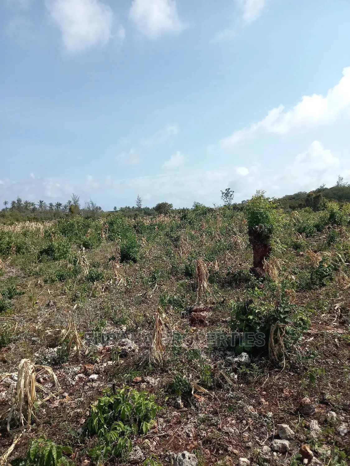 North Coast Beachfront Land For Sale - 16 Acres in Kikambala