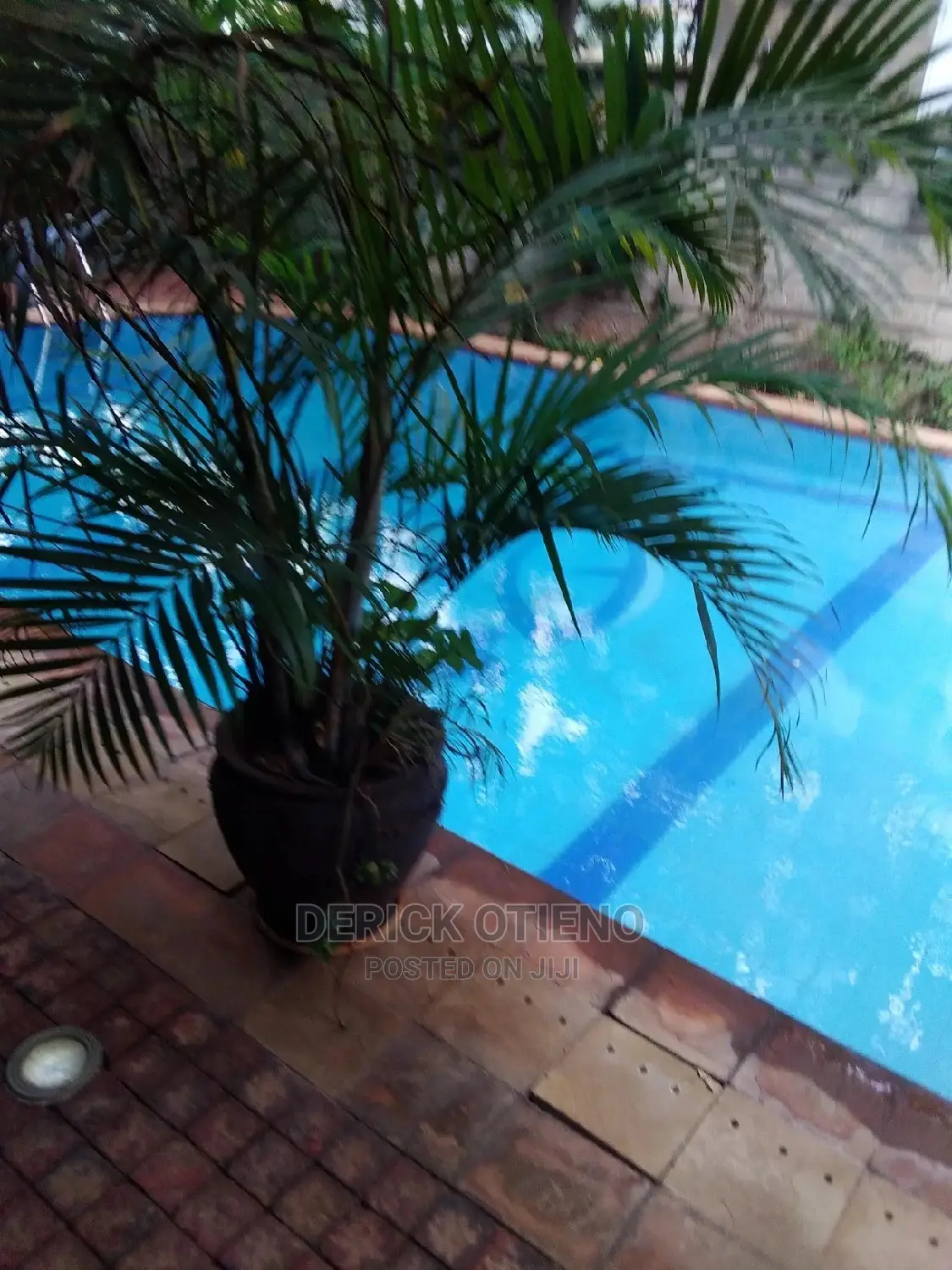 2-Bedroom Apartment in Prime Kilimani Area for Rent in Kilimani