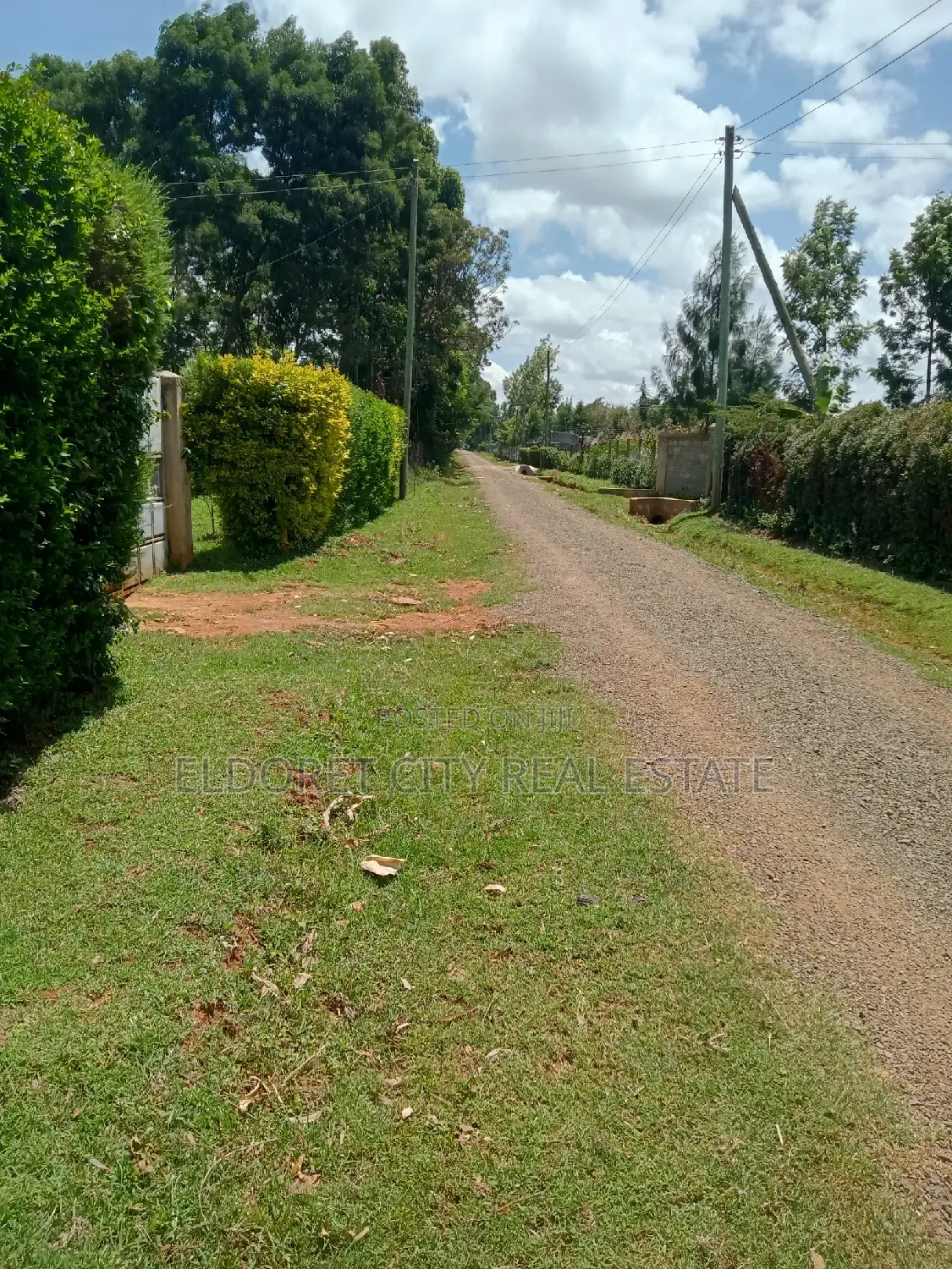 Affordable 1/4 Acre Ndogo Land in Kapseret, Kericho - Invest Today in Eldoret CBD