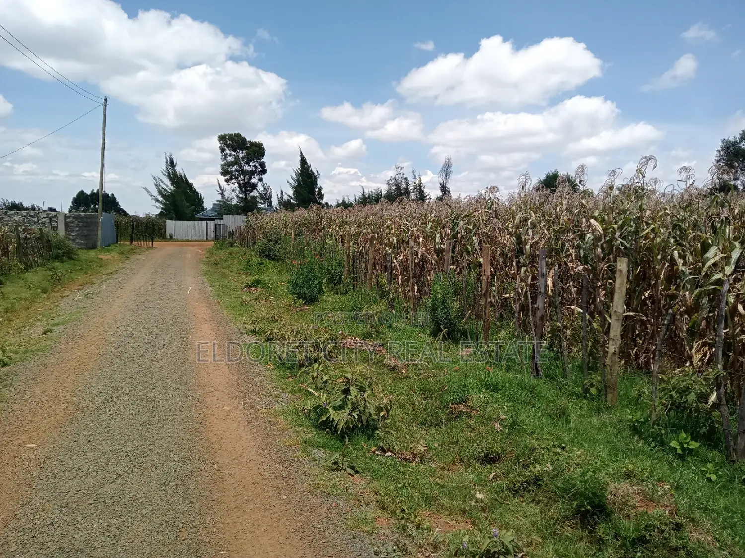 Affordable 1/4 Acre Ndogo Land in Kapseret, Kericho - Invest Today in Eldoret CBD