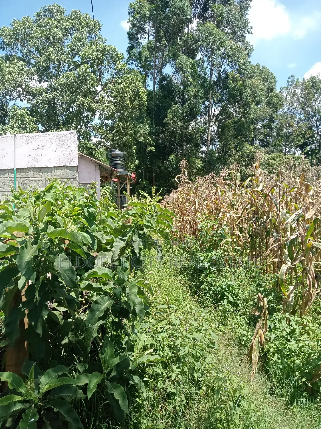 Kapseret 1/2 Acre Land: Ideal for Residential Development - Make Your Dreams a Reality in Eldoret CBD
