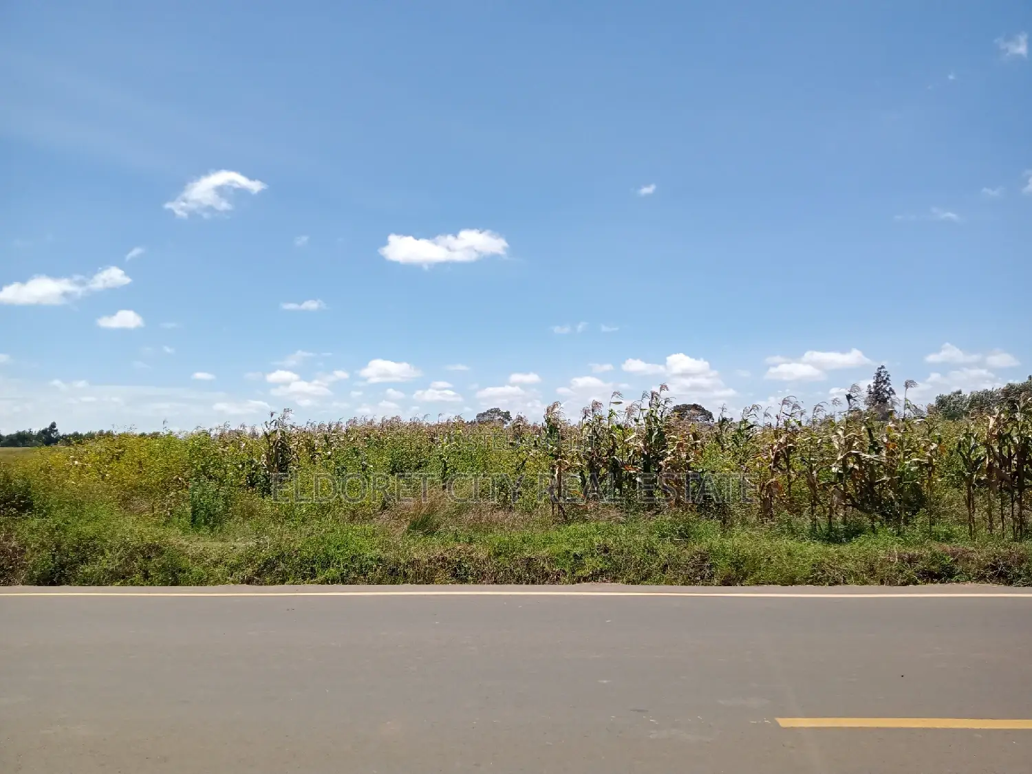 Development Opportunities: 1/4 and 1/8 Plots in Marura Touching Tarmac in Eldoret CBD