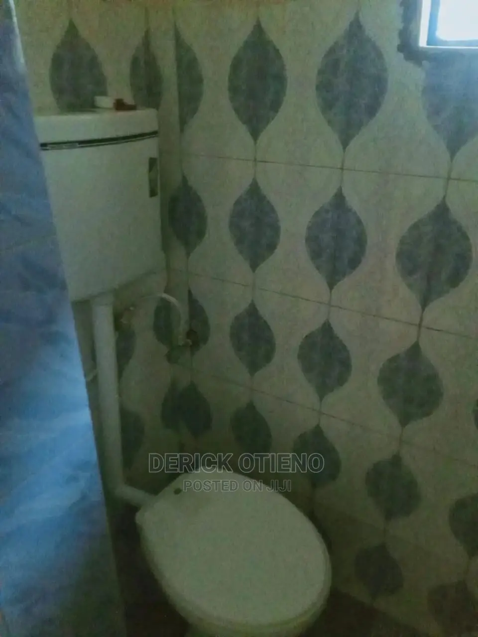 Charming 1-Bedroom Apartment for Rent in Naivasa Road, Naivasha East in Naivasha East