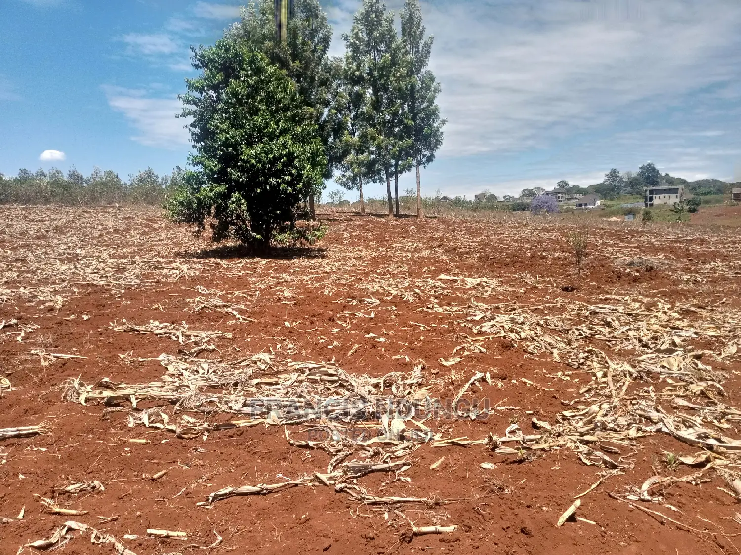 Migaa Estate Plots: Prime Location on Githunguri Rd. in Tinganga