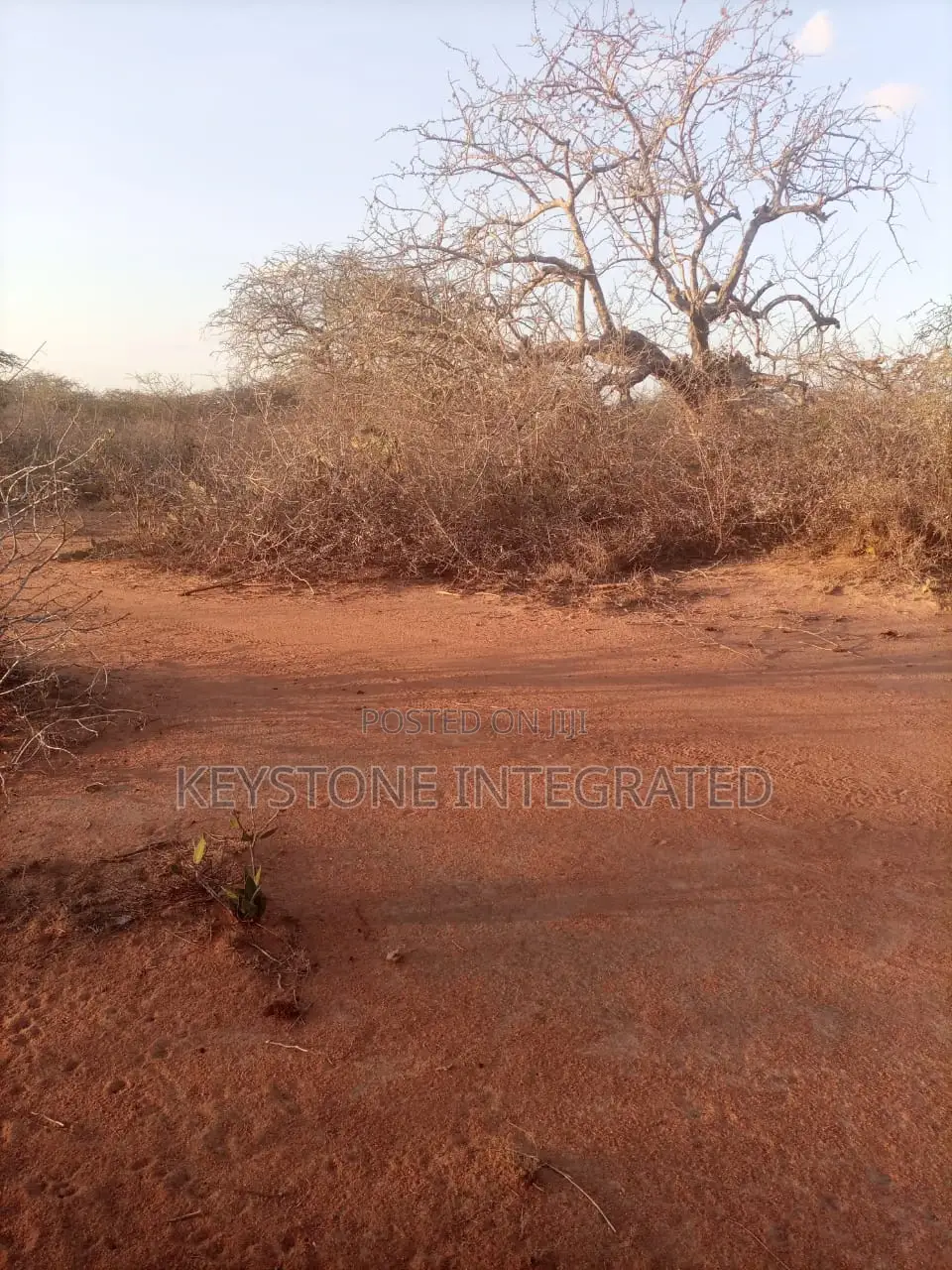 Plots for Sale in Kwale in Mackinnon Road