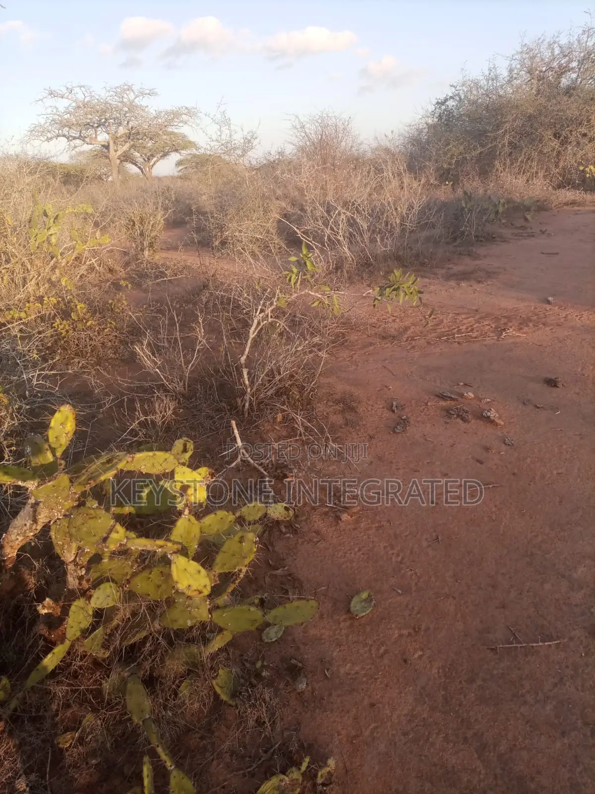 Plots for Sale in Kwale in Mackinnon Road