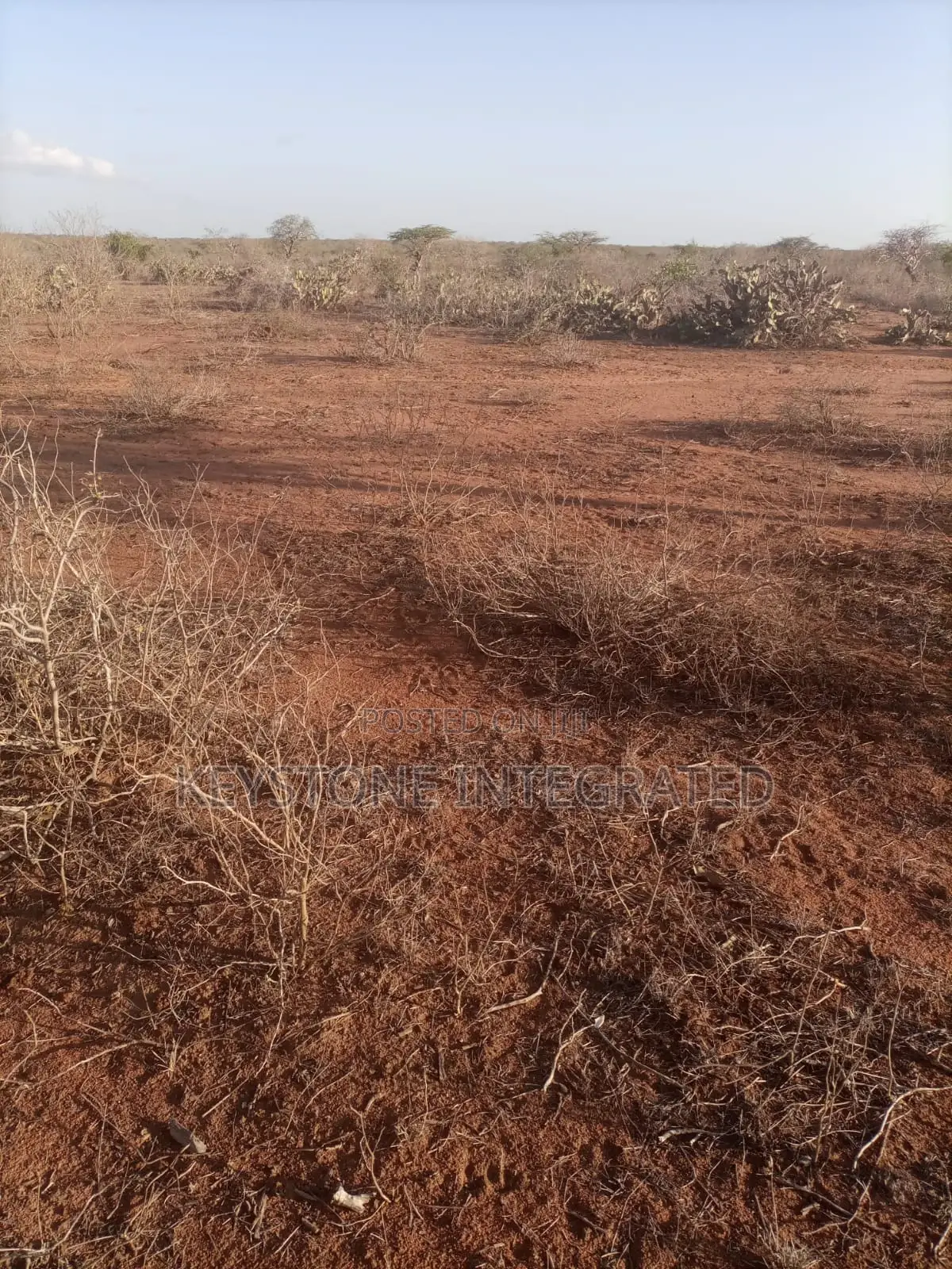 Plots for Sale in Kwale in Mackinnon Road
