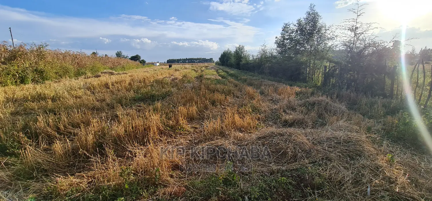 Affordable 1⁄8 Acre Plots for Sale in Kiplombe Mtrh Eldoret in Eldoret CBD