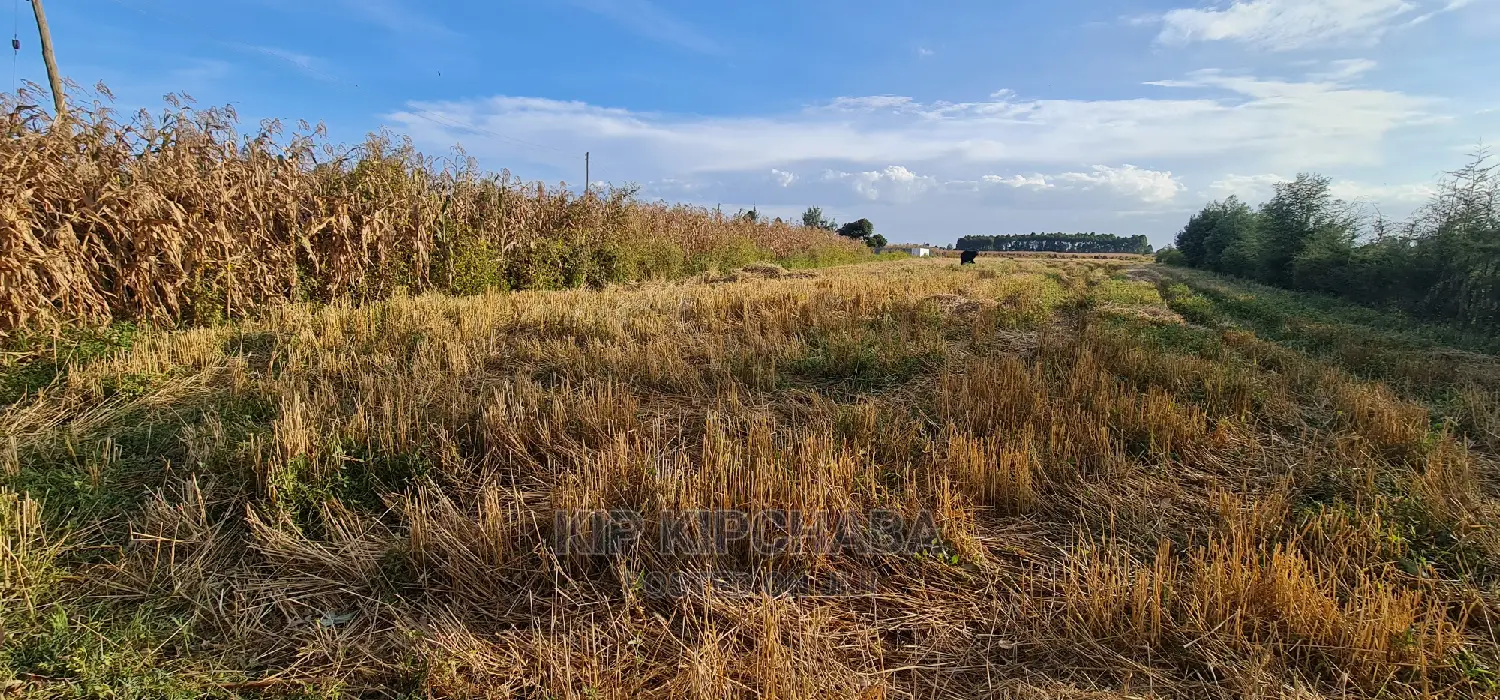 Affordable 1⁄8 Acre Plots for Sale in Kiplombe Mtrh Eldoret in Eldoret CBD