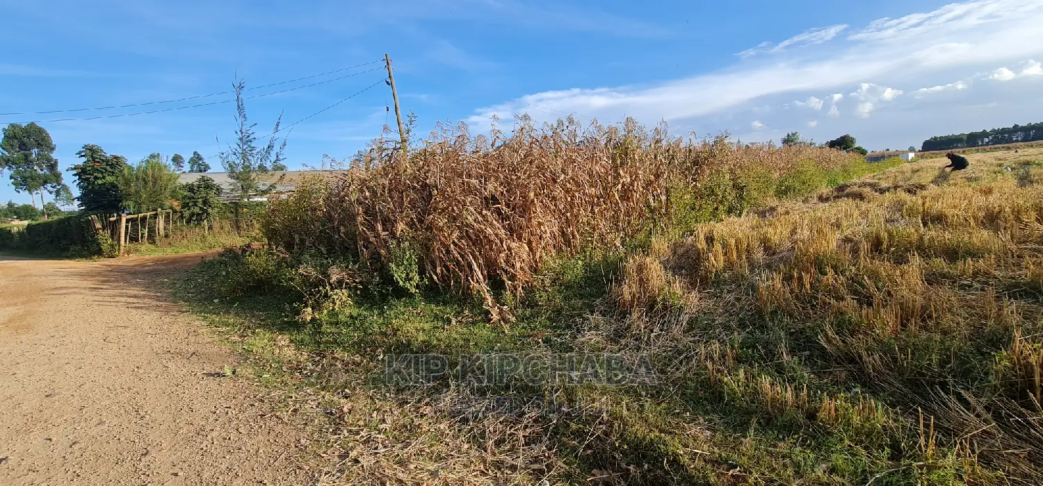 Affordable 1⁄8 Acre Plots for Sale in Kiplombe Mtrh Eldoret in Eldoret CBD