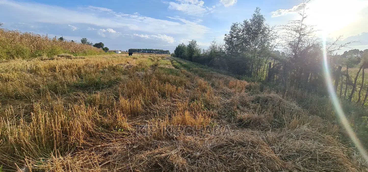 Affordable 1⁄8 Acre Plots for Sale in Kiplombe Mtrh Eldoret in Eldoret CBD