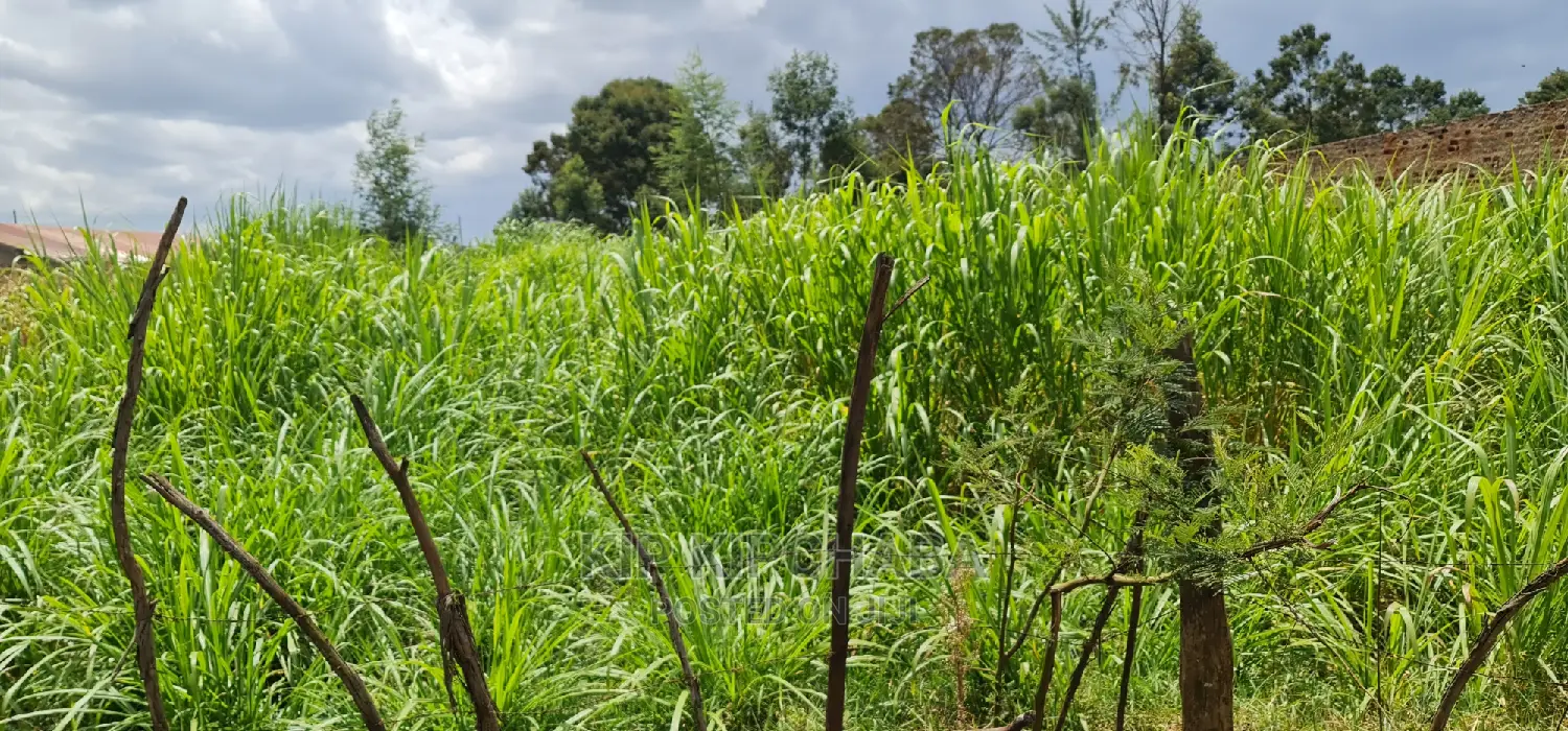 Commercial Land with Tarmac Access in Eldoret for Sale in Eldoret CBD