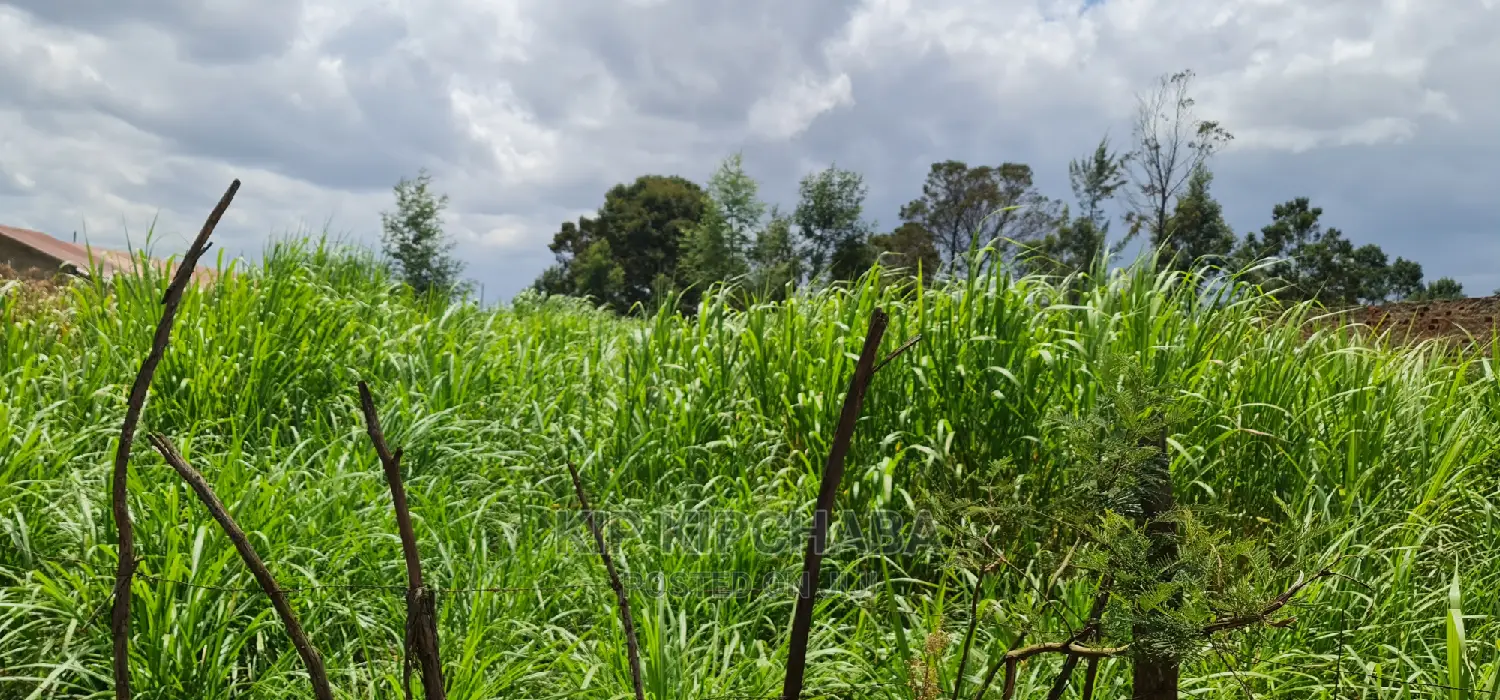 Commercial Land with Tarmac Access in Eldoret for Sale in Eldoret CBD