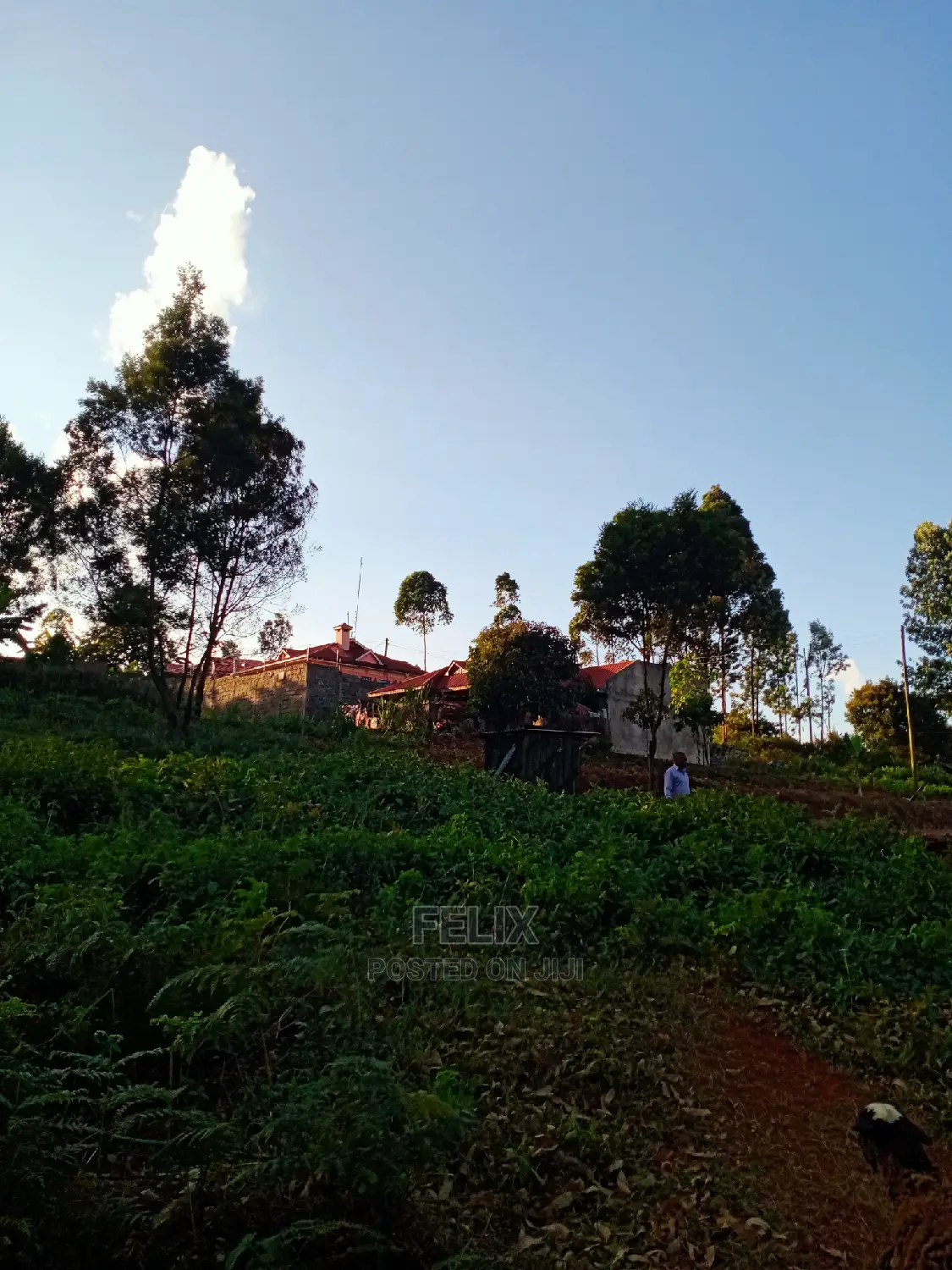 Karatina/Mathaithi Highway Plot in Karatina Town