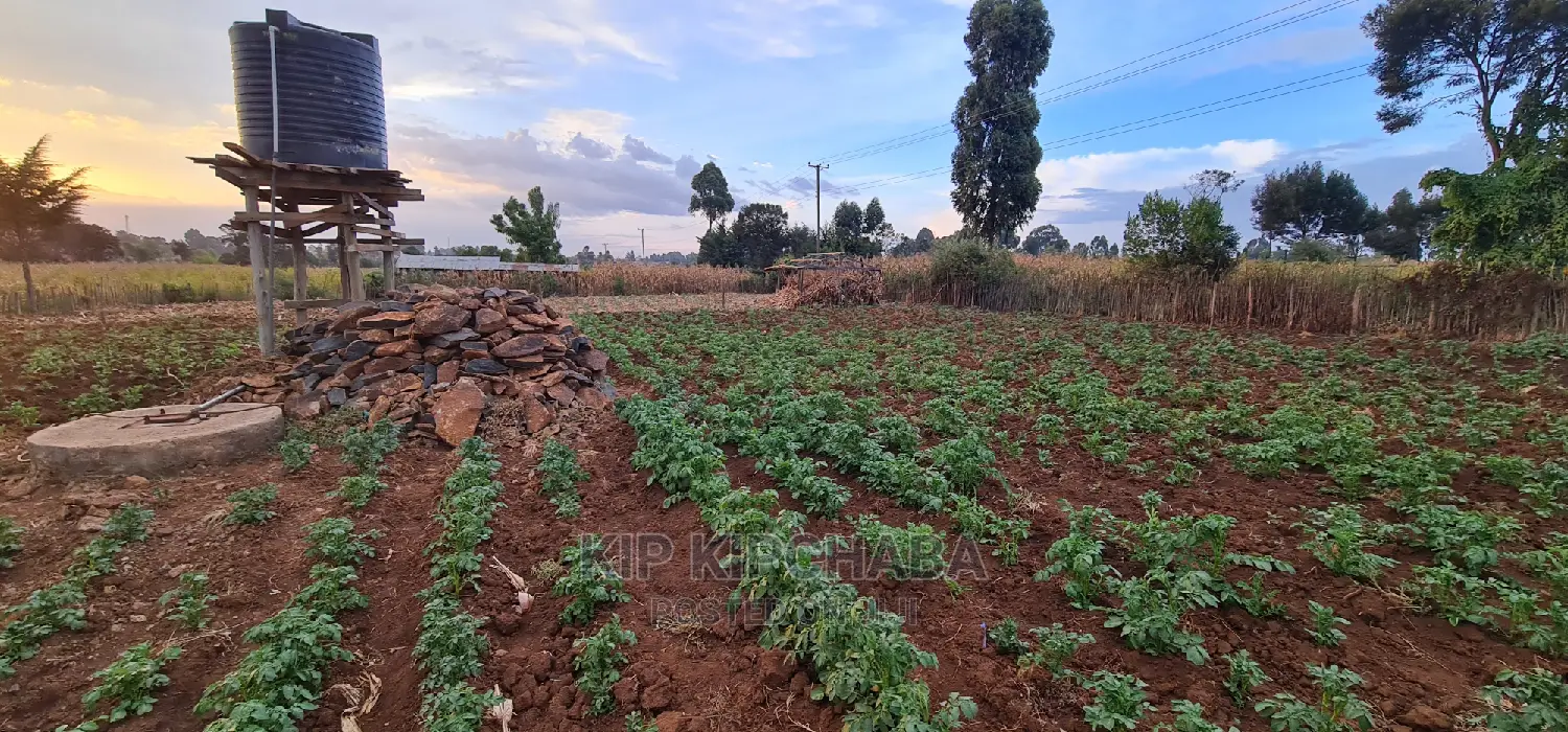 Affordable Land for Sale in Kapsoya, Eldoret: Your Dream Home Awaits! in Hillside