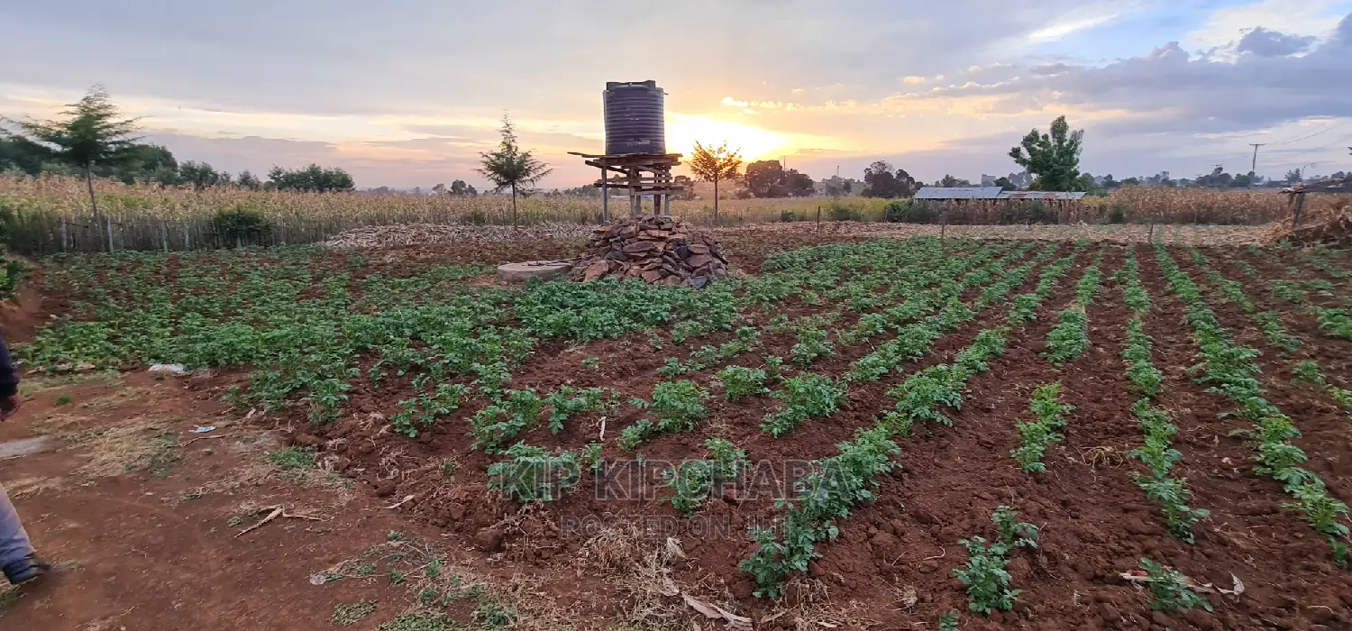 Affordable Land for Sale in Kapsoya, Eldoret: Your Dream Home Awaits! in Hillside