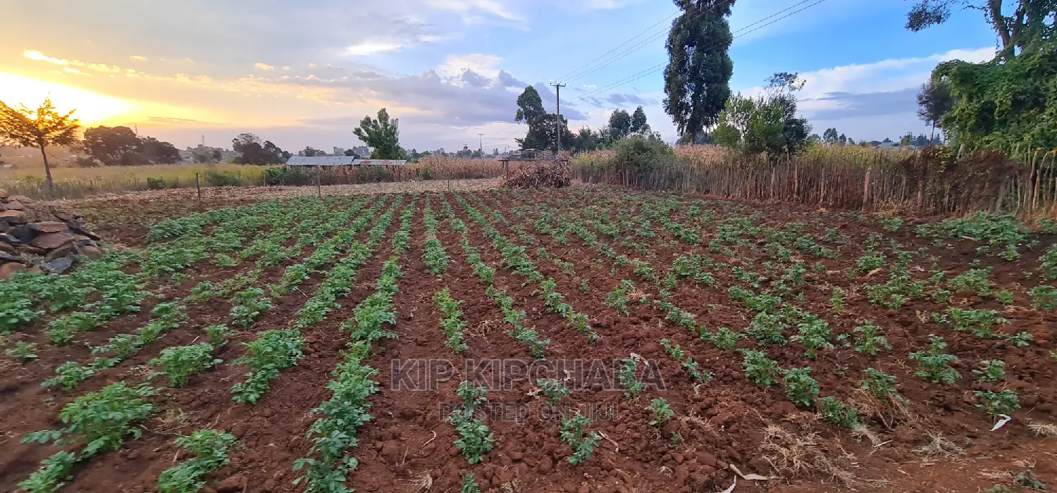 Affordable Land for Sale in Kapsoya, Eldoret: Your Dream Home Awaits! in Hillside