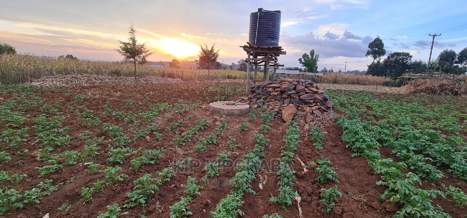 Affordable Land for Sale in Kapsoya, Eldoret: Your Dream Home Awaits! in Hillside
