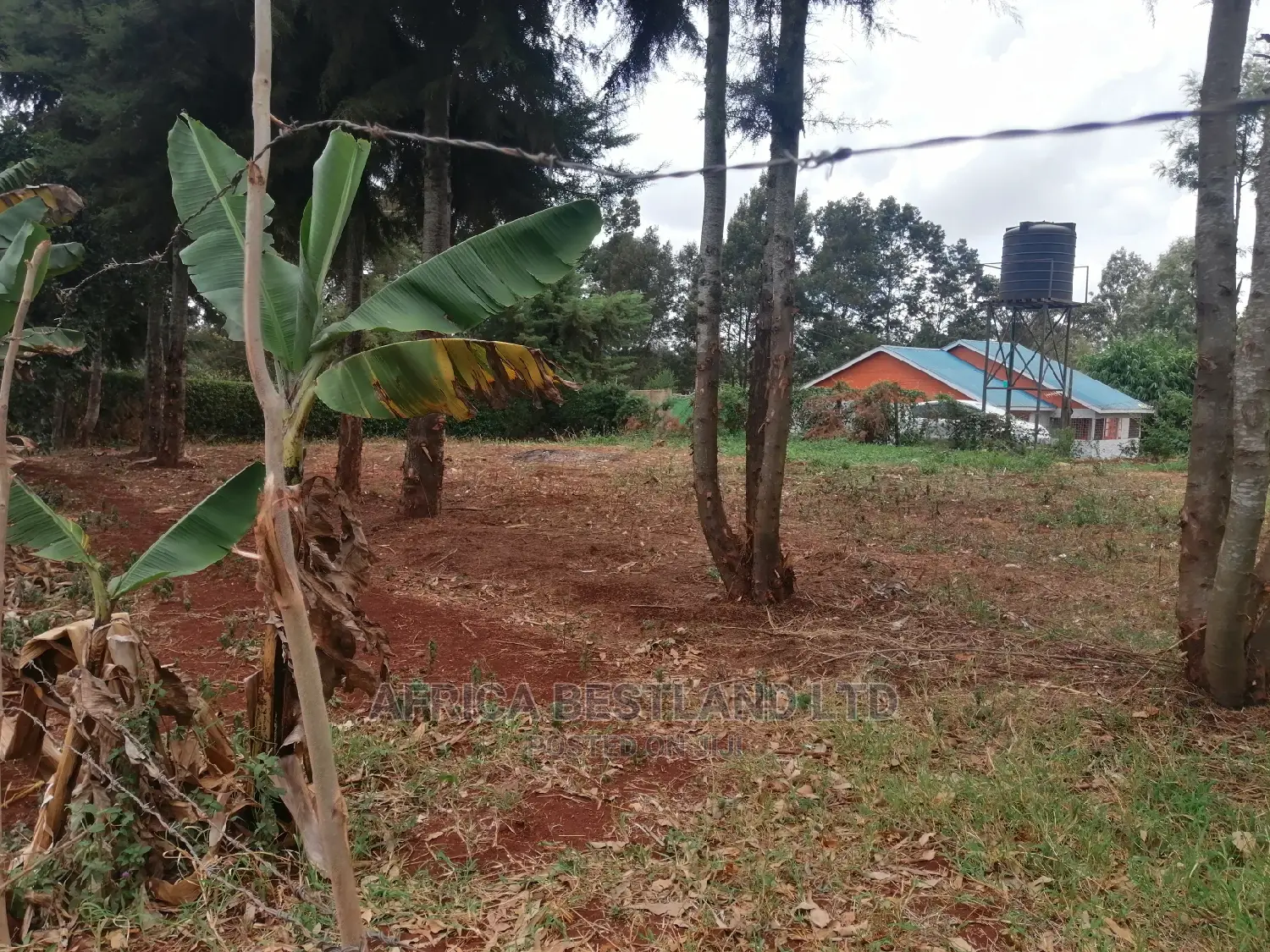 50x100 Ft Plot for Sale in Ondiri in Kikuyu