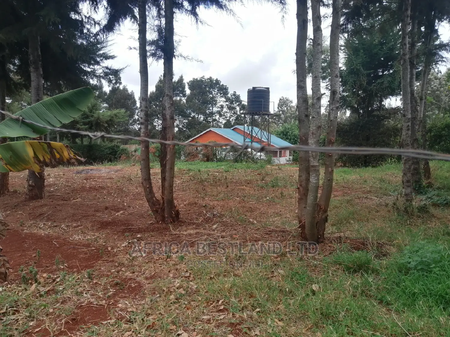 50x100 Ft Plot for Sale in Ondiri in Kikuyu