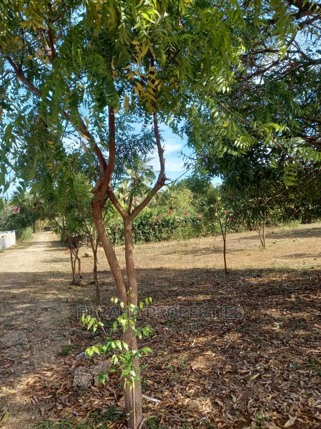Quater Acre Land in Kikambala - For Sale in Kikambala