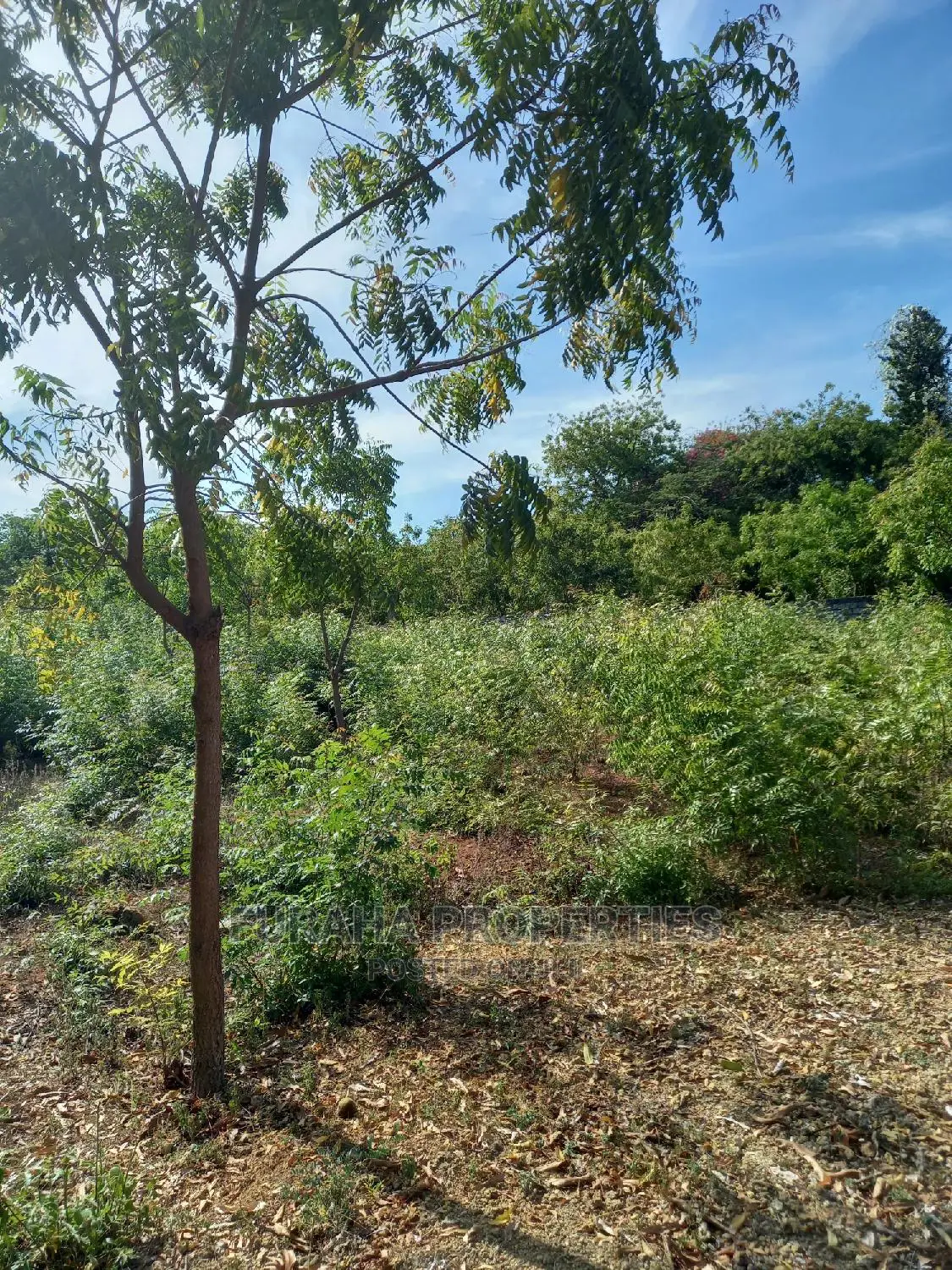 Quater Acre Land in Kikambala - For Sale in Kikambala