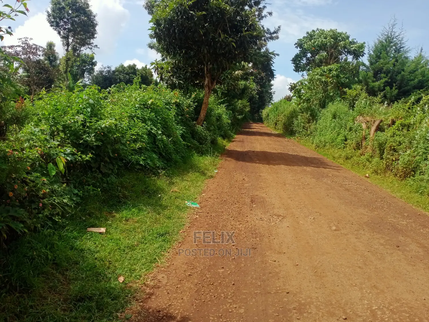 Karatina/Jambo Half Acre in Karatina Town