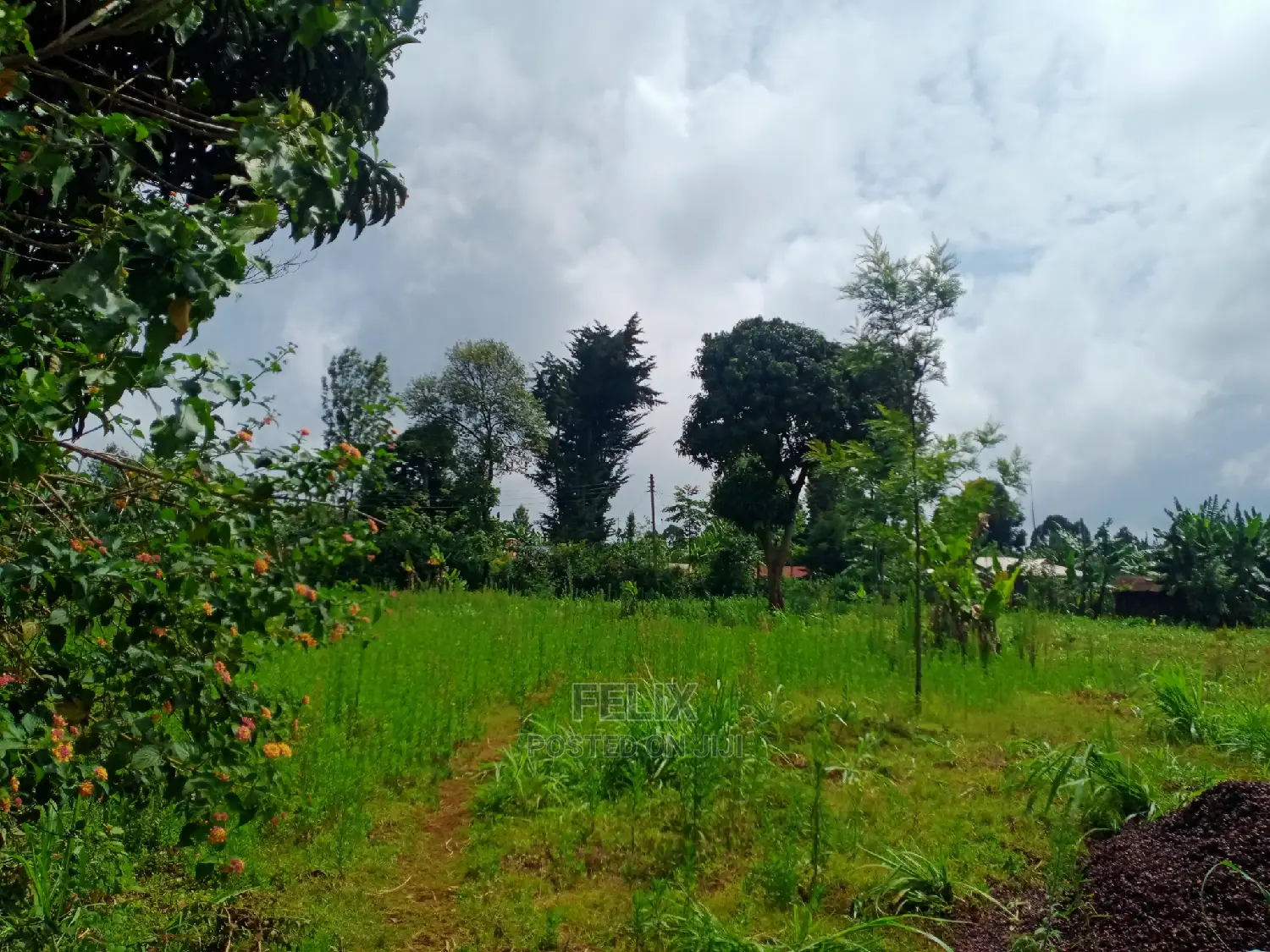 Karatina/Jambo Half Acre in Karatina Town