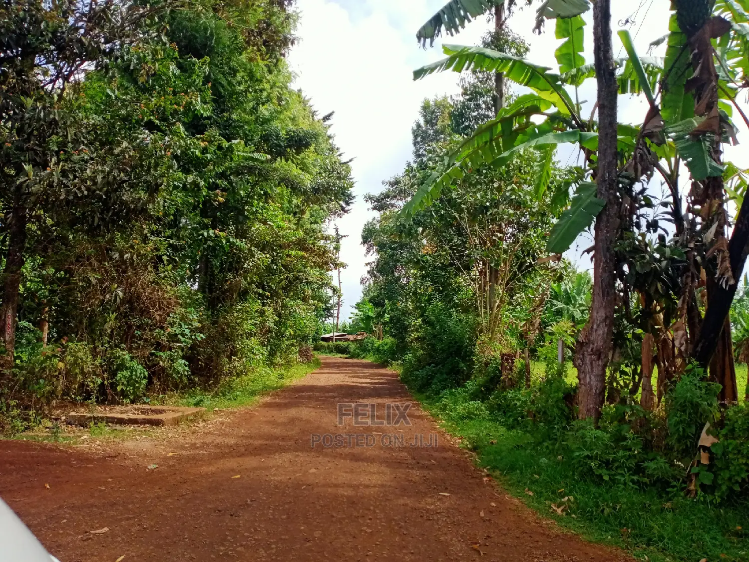 Karatina/Jambo Half Acre in Karatina Town