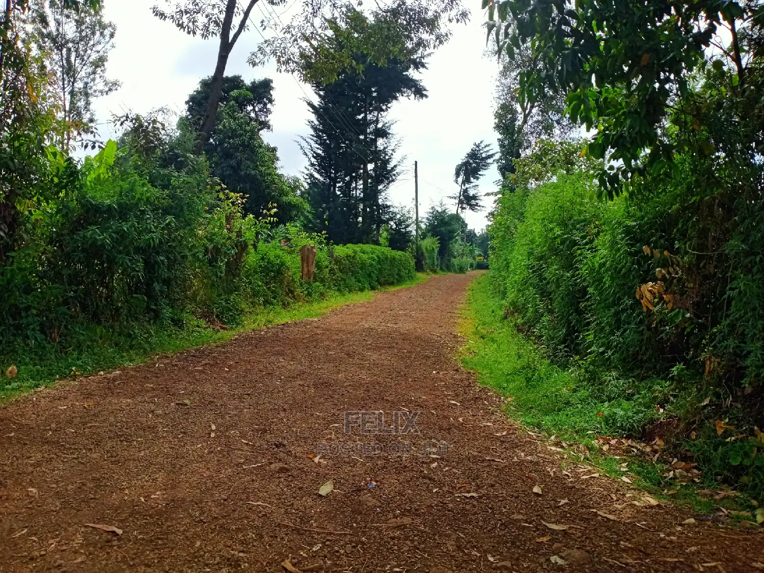 Karatina/Jambo Half Acre in Karatina Town
