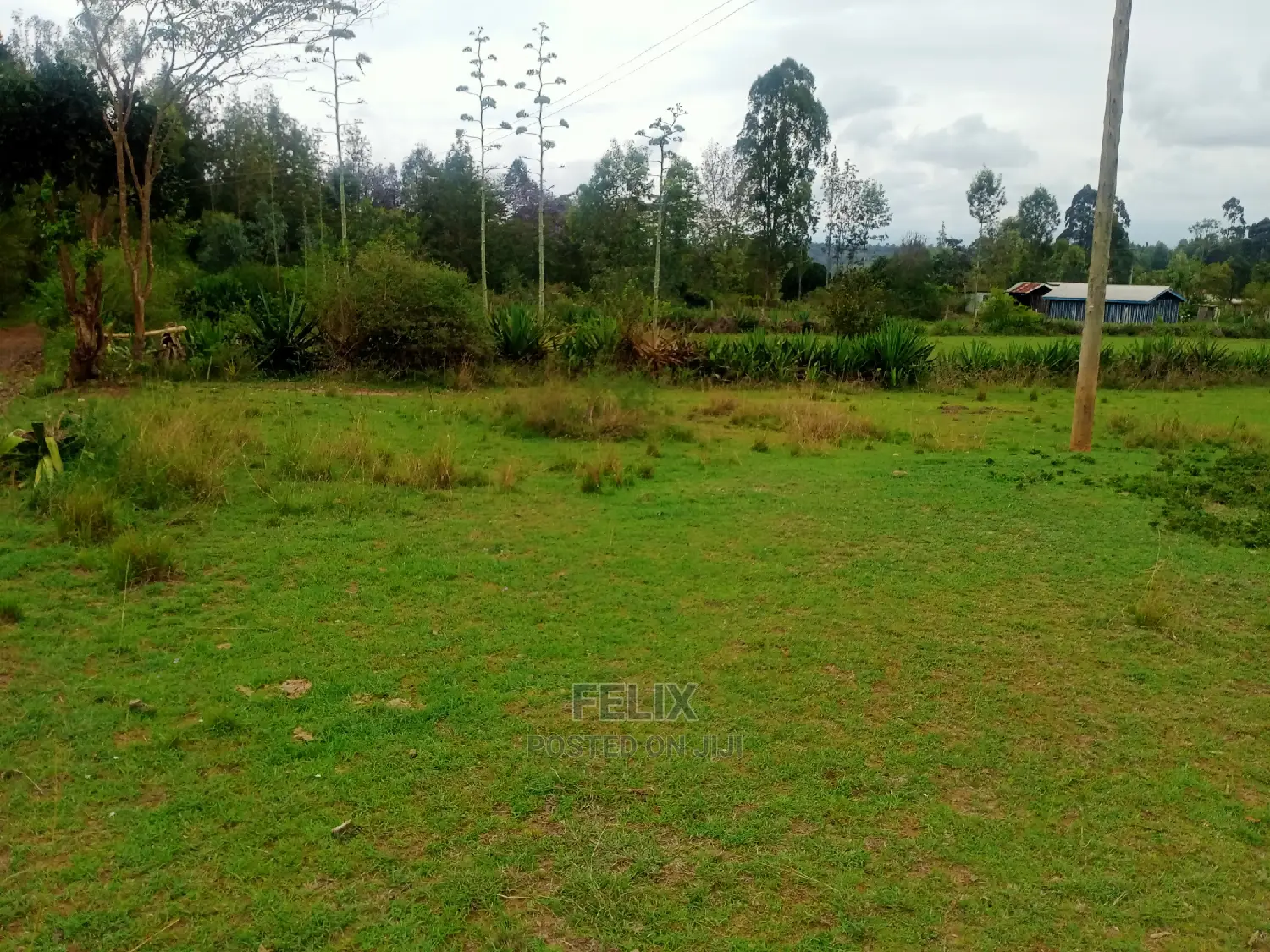 Karatina/Kianjogu Half Acre in Karatina Town