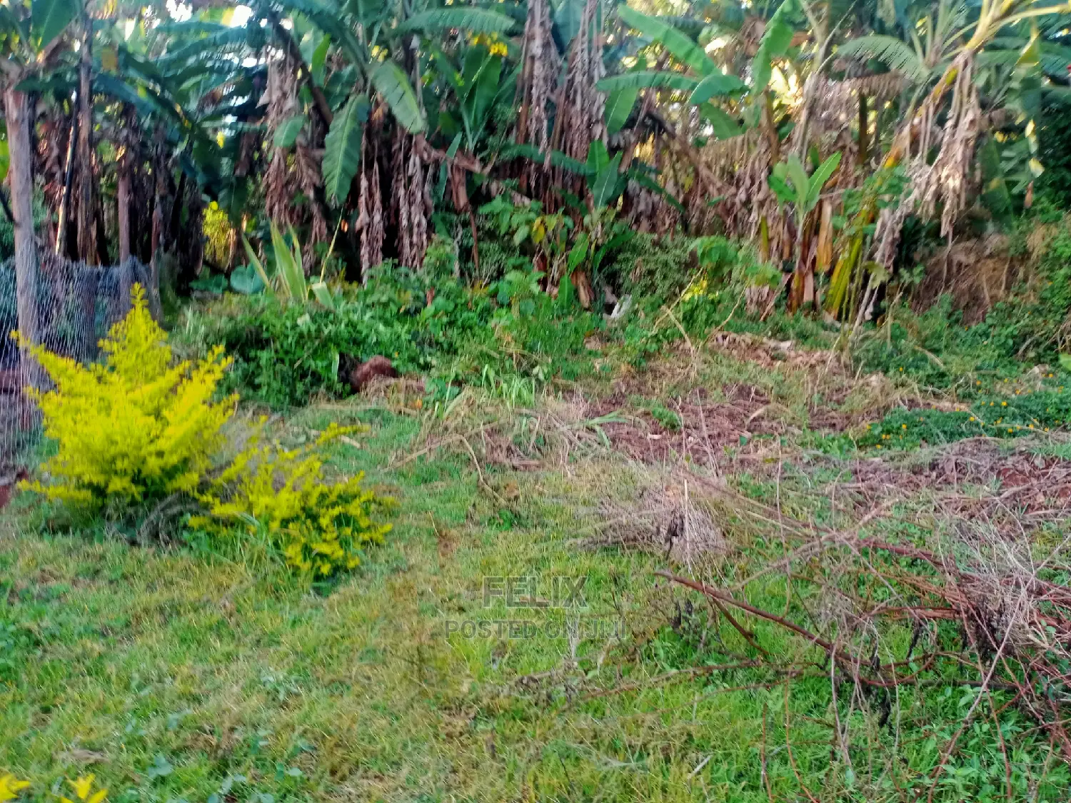 Karatina/Kianjogu Half Acre in Karatina Town