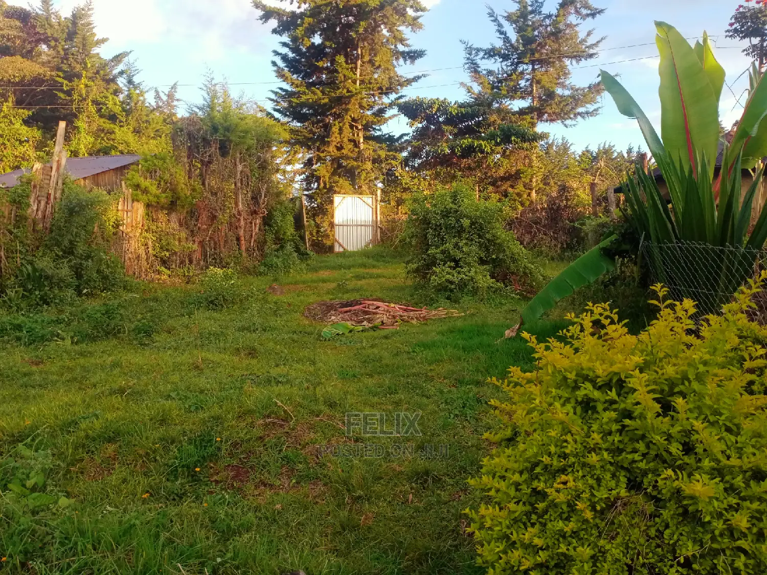 Karatina/Kianjogu Half Acre in Karatina Town