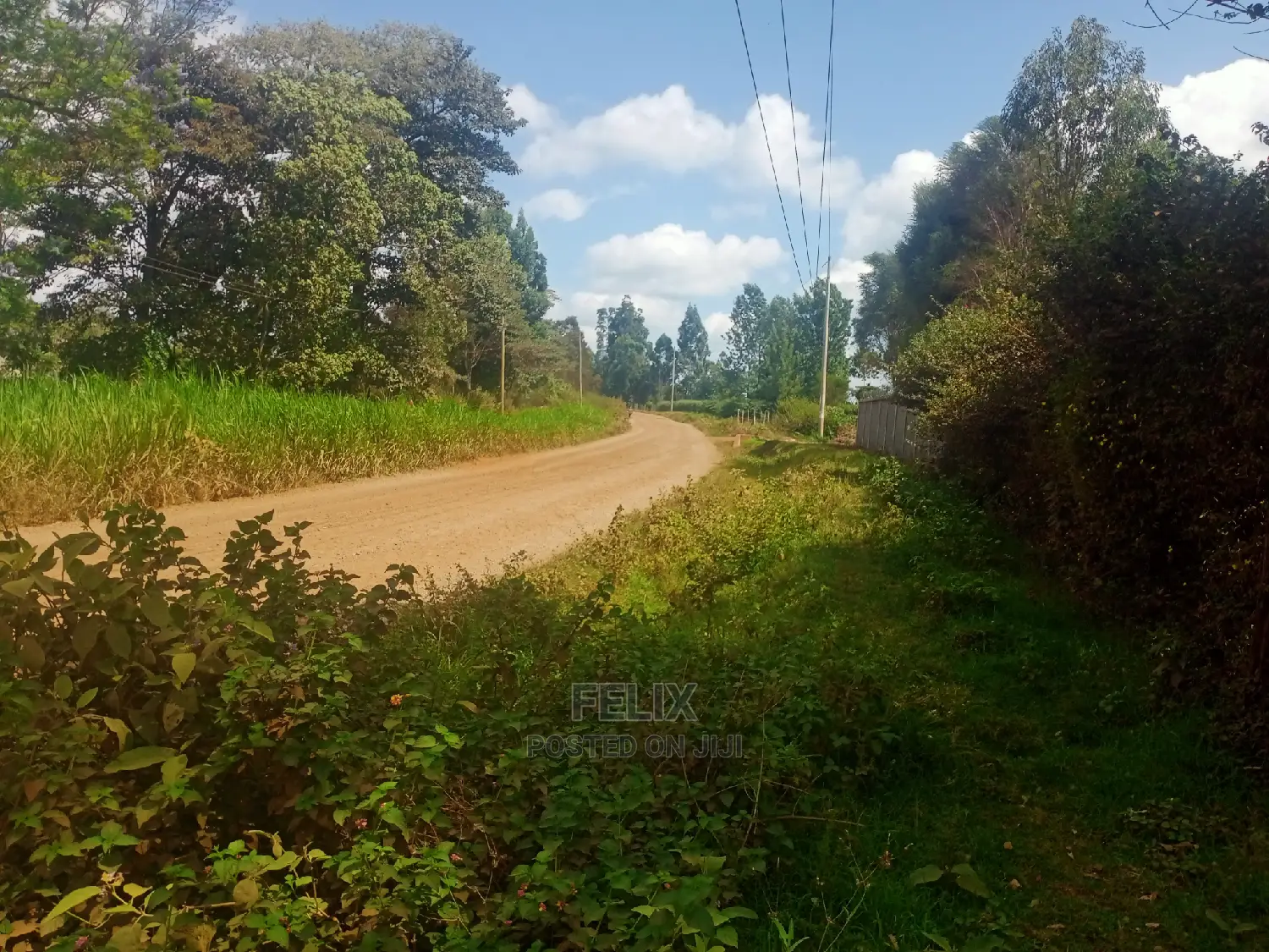 Nyeri/Gatitu Half Acre in Gatitu