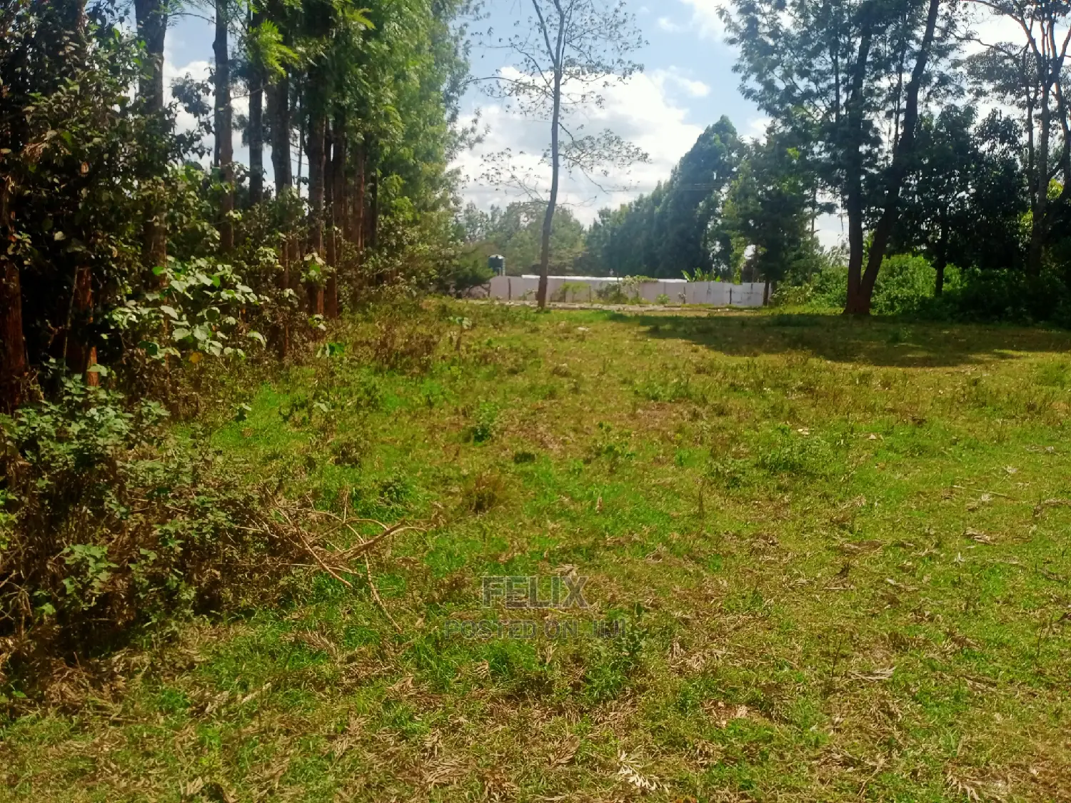 Nyeri/Gatitu Half Acre in Gatitu