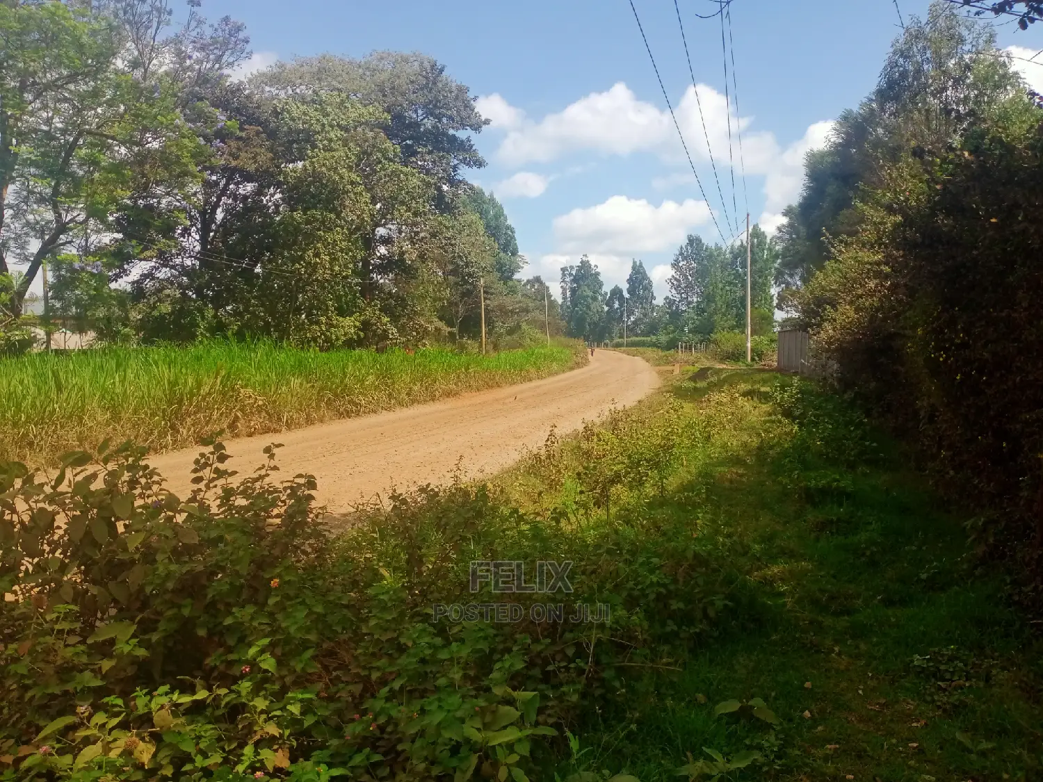 Nyeri/Gatitu Half Acre in Gatitu