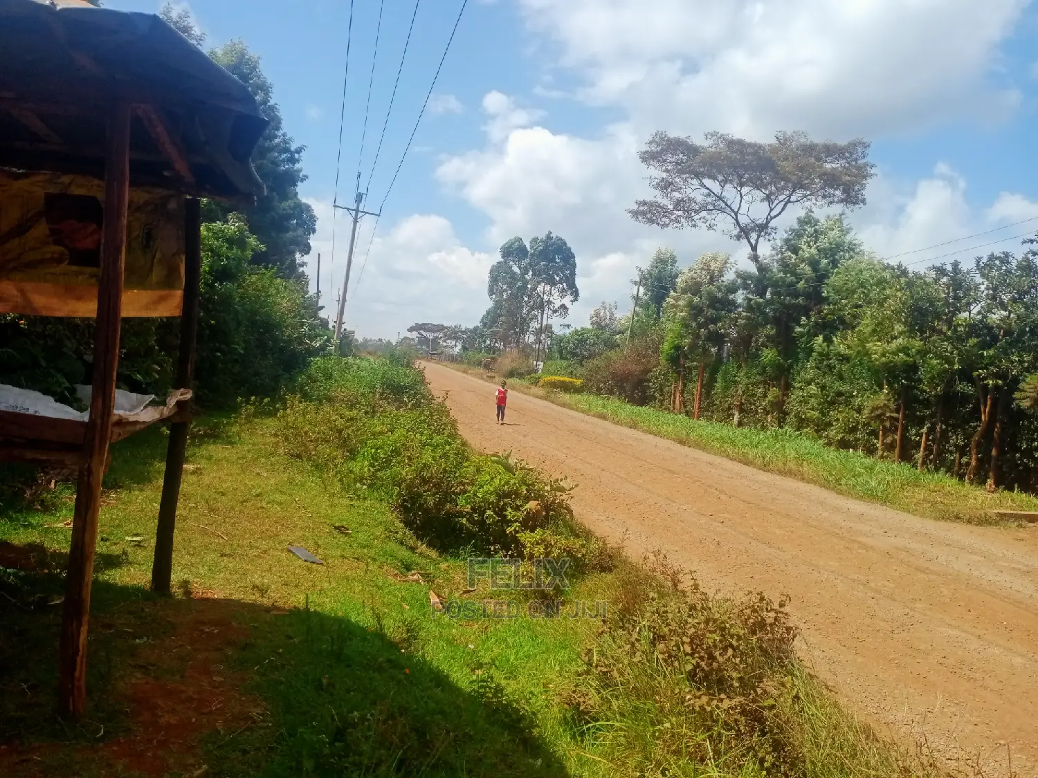 Nyeri/Gatitu Half Acre in Gatitu