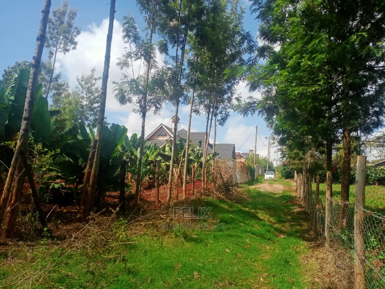 Nyeri/Gatitu Prime Plot in Gatitu