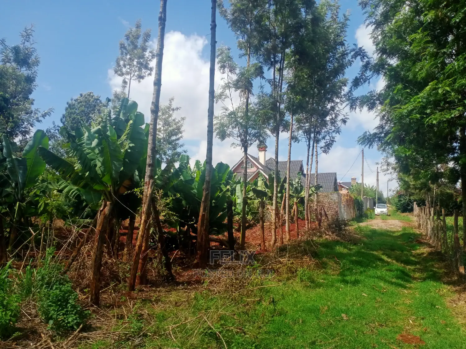 Nyeri/Gatitu Prime Plot in Gatitu