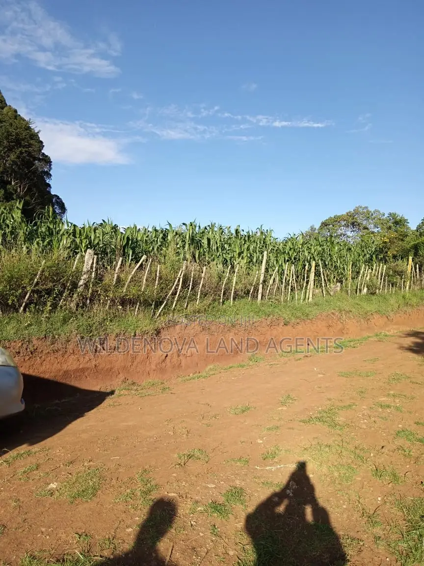 Land Sale: Kinangop, Jabini - Affordable & Prime in Magumu