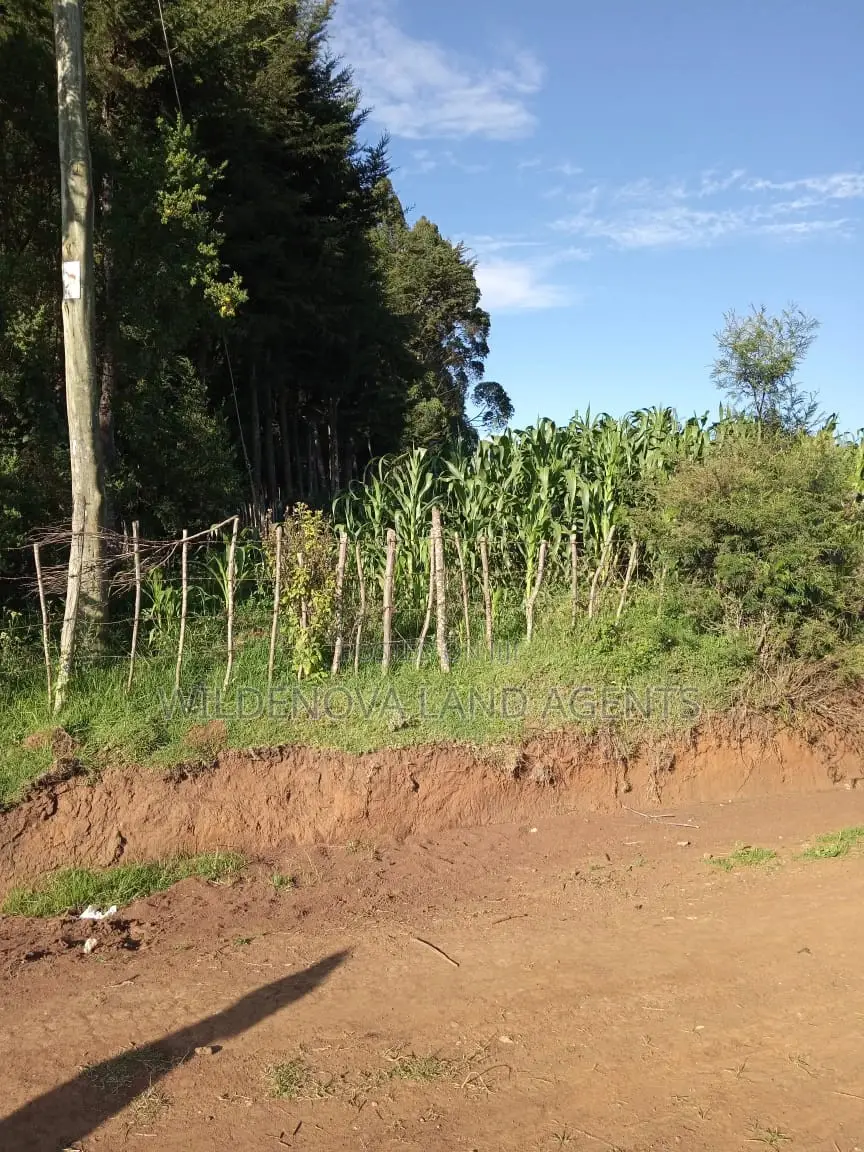 Land Sale: Kinangop, Jabini - Affordable & Prime in Magumu