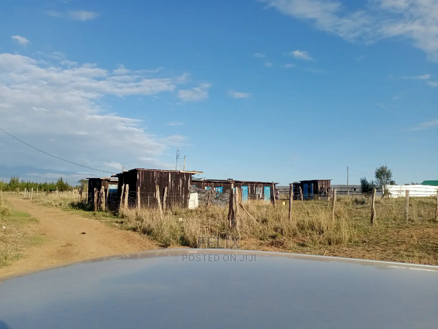 Narumoru Prime Plots in Kieni